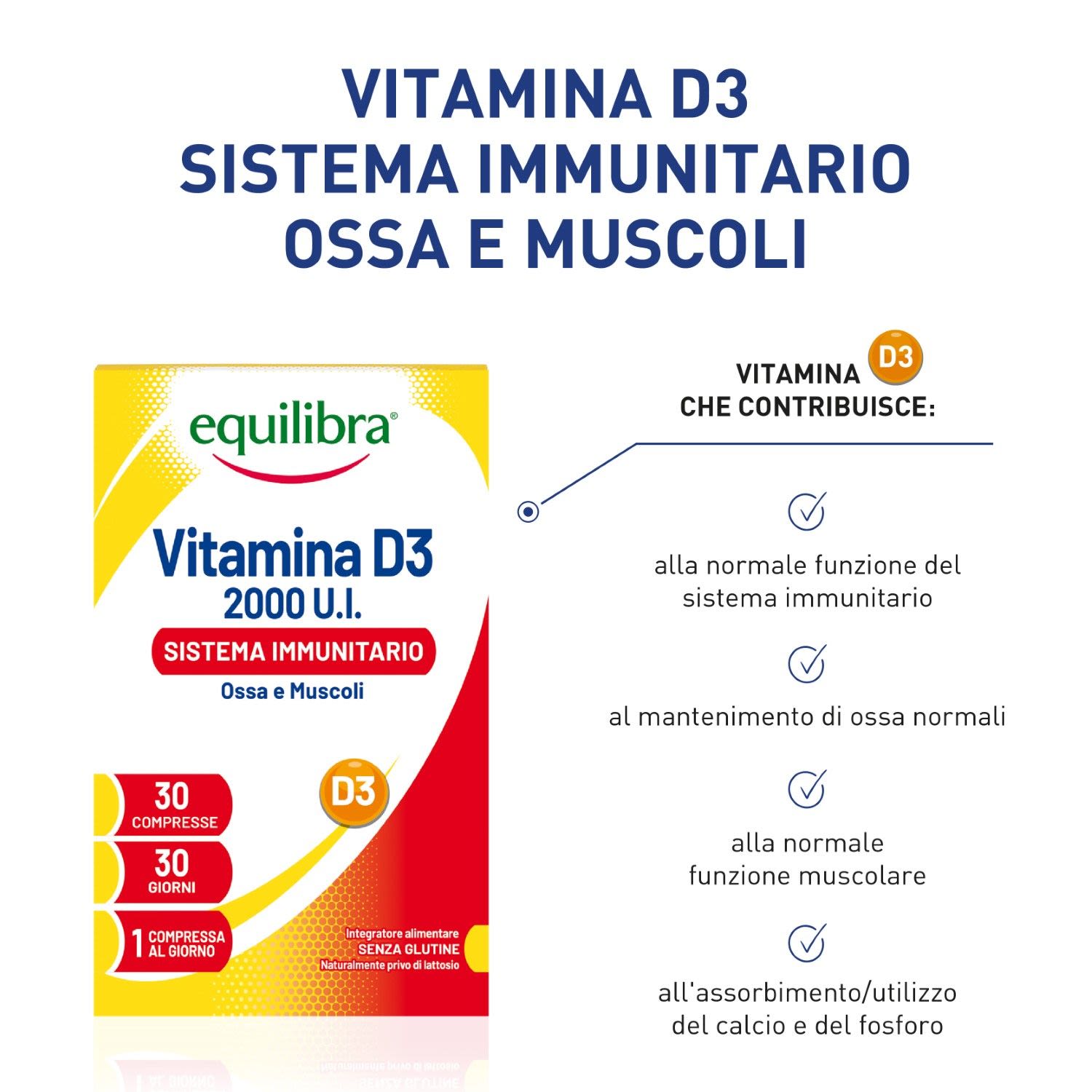 image - 983001645 - Equilibra Vitamina D3 2000ui Integratore muscoli e ossa 30 compresse - 4739292_3.jpg