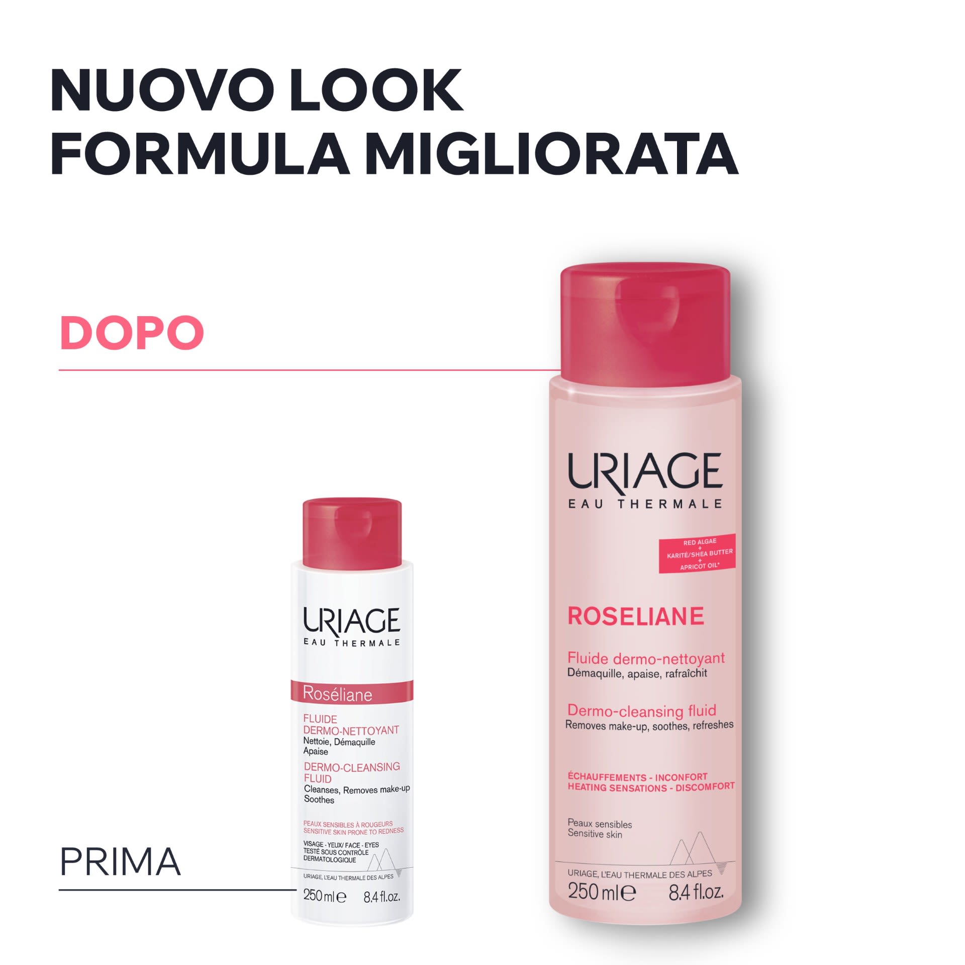 image - 950073991 - - 4811392_8.jpg