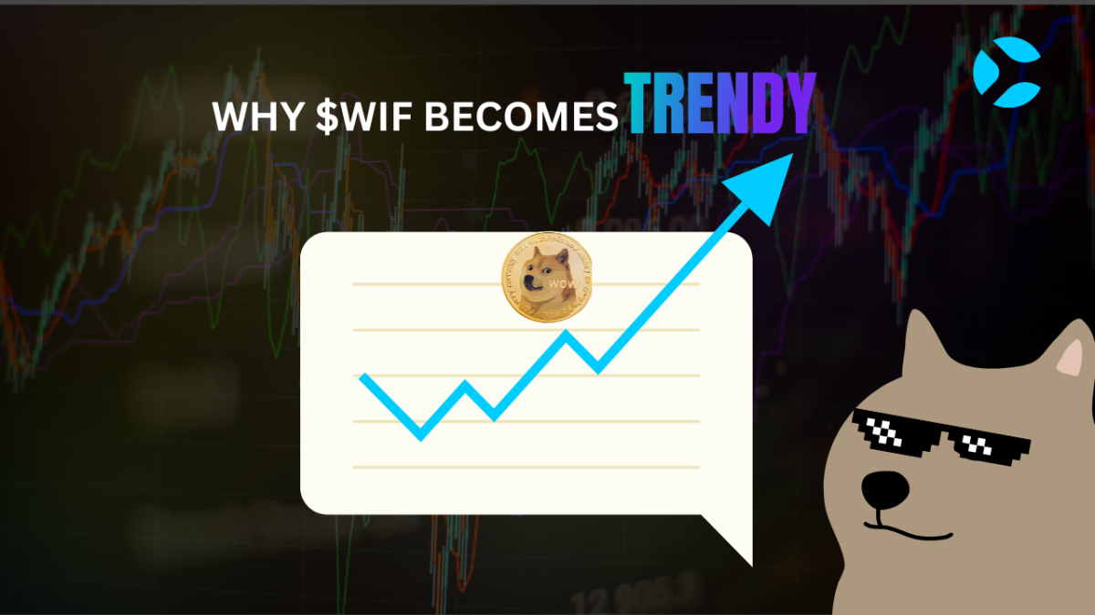 Why WIF Becomes Trendy - Coinsomuch