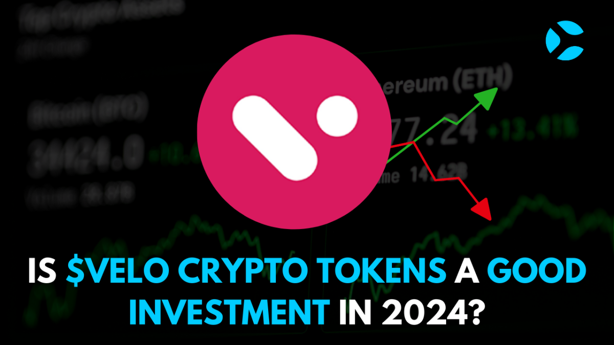 Is $VELO Crypto a Good Investment in 2024 - CoinSoMuch