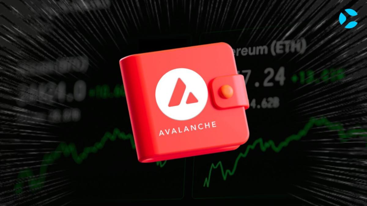 Complete Guide On Best Wallets For Avalanche Crypto
