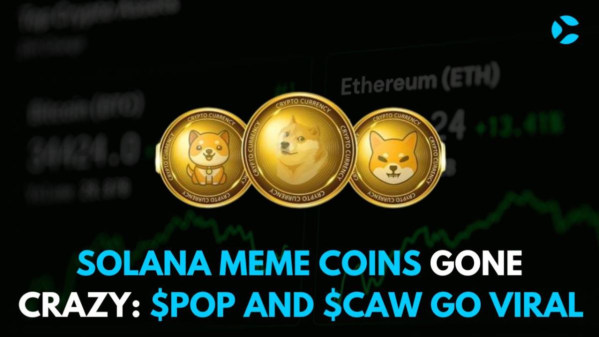 Solana Meme Coins Gone Crazy