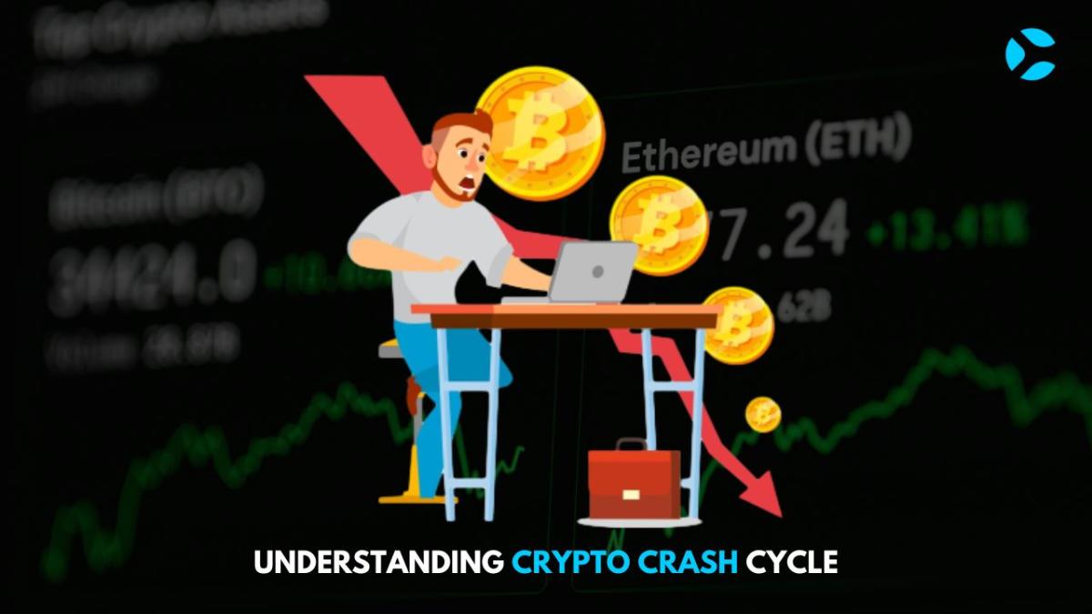 Understanding Crypto Crash Cycle
