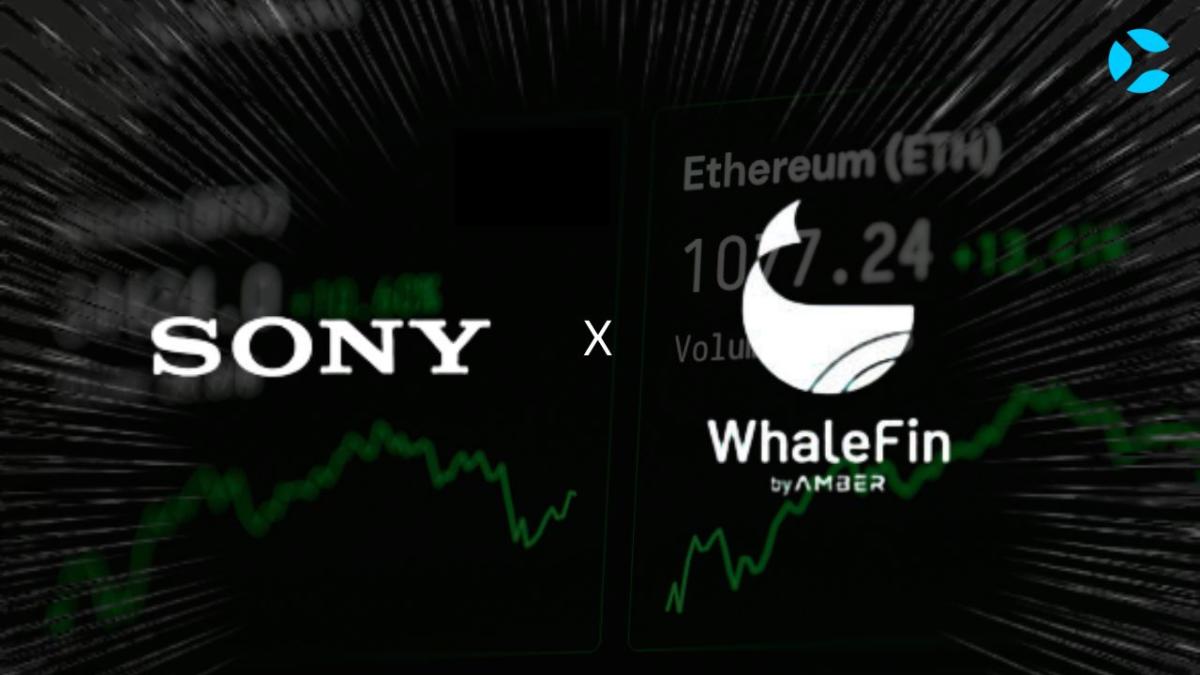 SONY X WhaleFIN