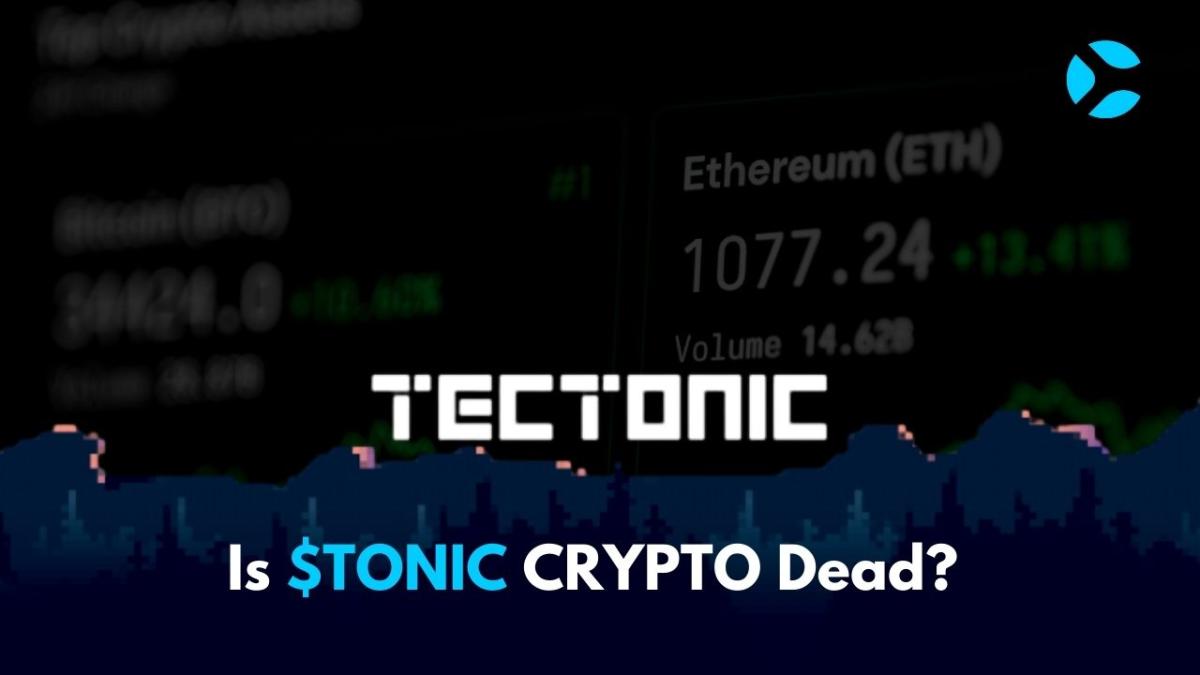 Is Tectoni Crypto Dead