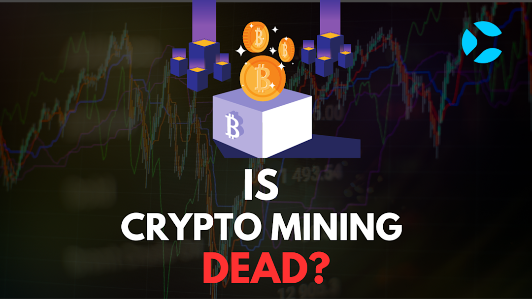 Is Crypto Mining Dead? A Brief Guide to this MYTH CoinSoMuch