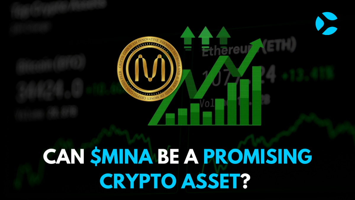 Can $MINA Be A Promising Crypto Asset - CoinSoMuch