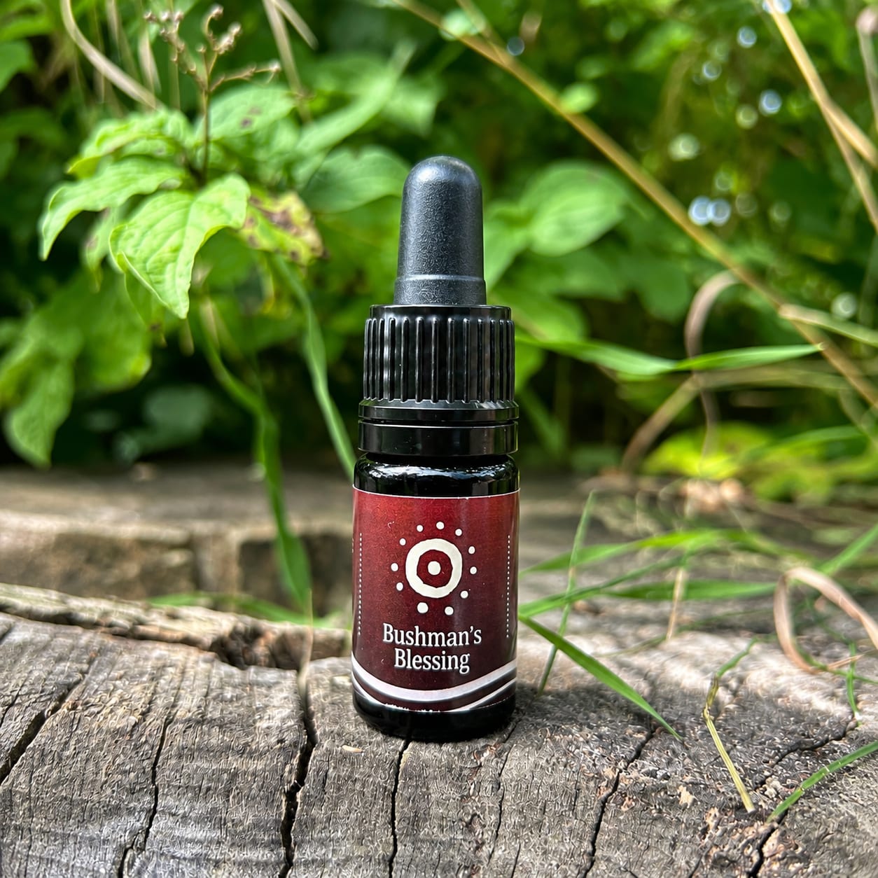 Kanna Tincture — front label