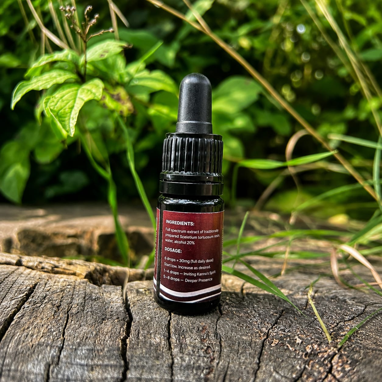 Kanna Tincture — QR code side