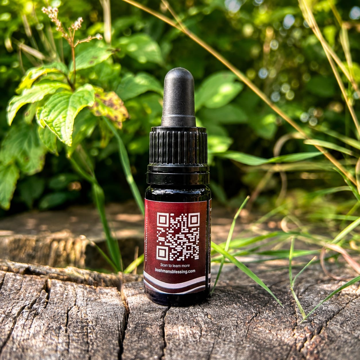 Kanna Tincture — dosage side