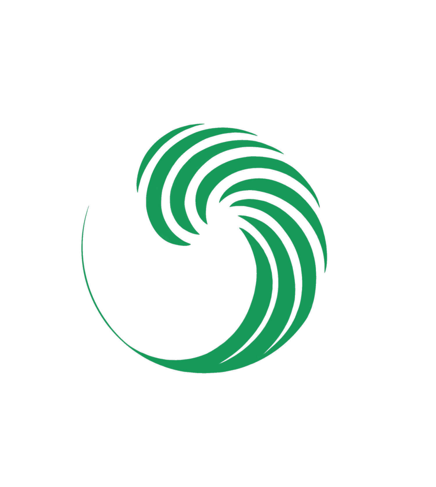 Wave Brazilian Jiu Jitsu