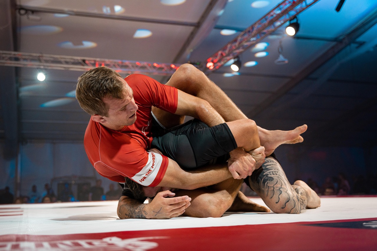BJJ rolling image