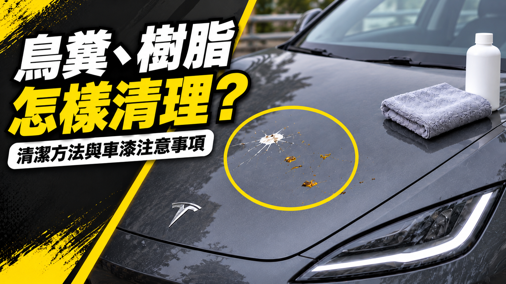 鳥糞、樹脂沾上車漆怎樣處理？清潔方法與護理注意事項