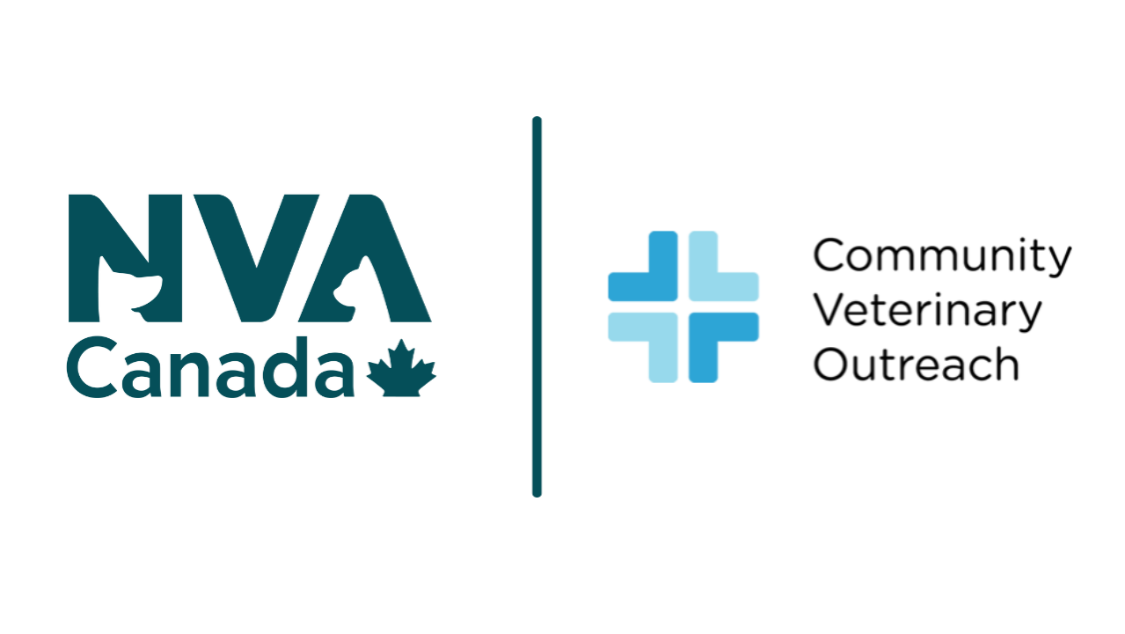 Cover Image for Pets in need get a boost across Canada!