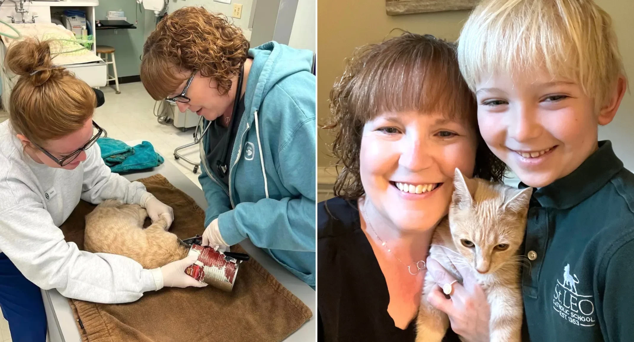 Cover Image for NVA GP Spotlight: Oldtown Veterinary Hospital gives a stray kitten a second chance and a new home