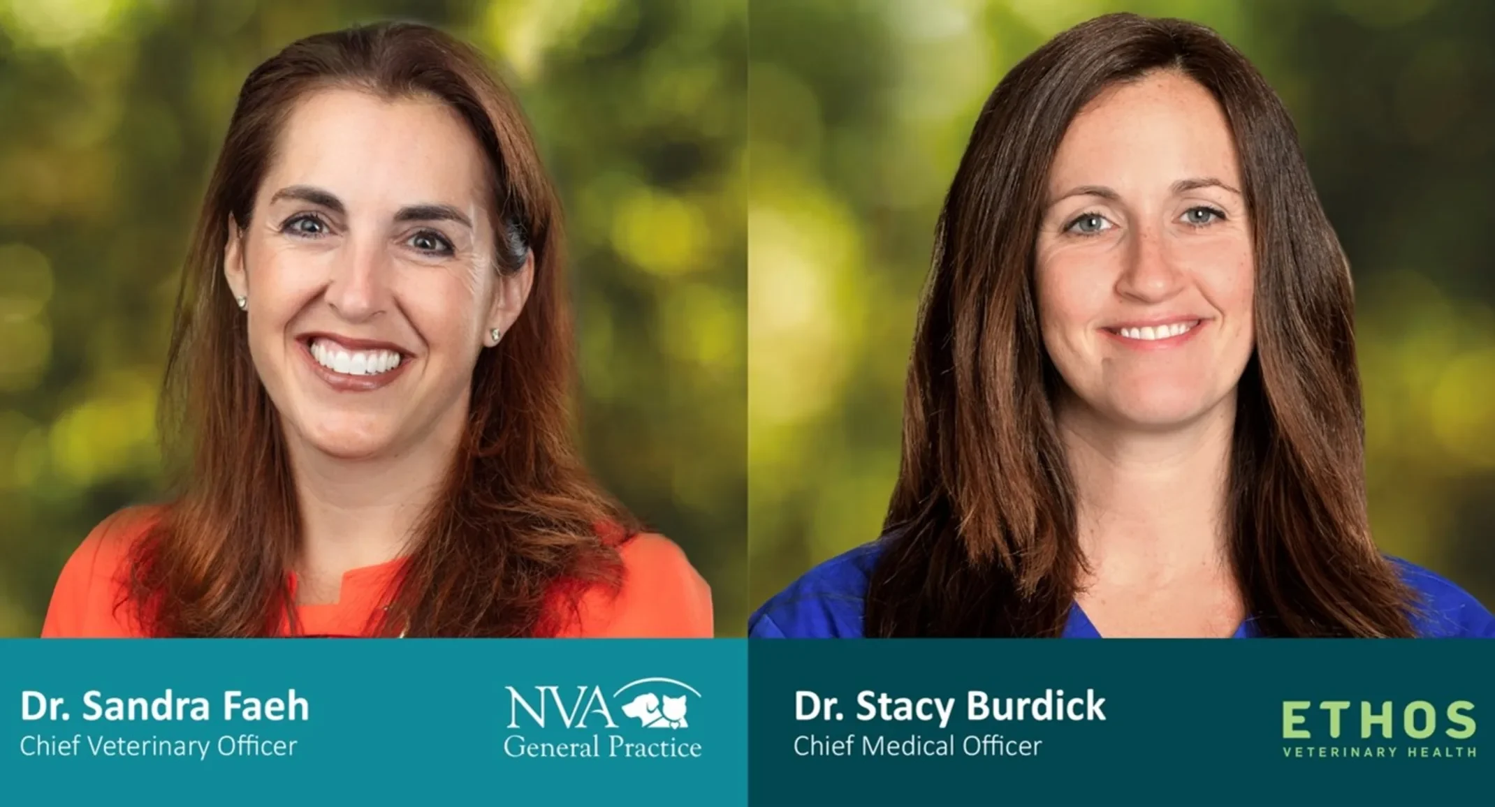 Cover Image for National Veterinary Associates Appoints Medical Leadership for NVA General Practice and Ethos Veterinary Health Businesses