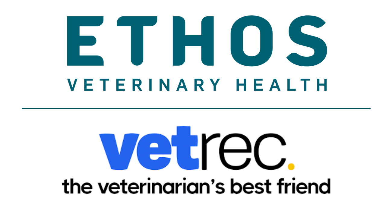 NVA appoints Ken Burdick executive chairman ahead of future IPO ...