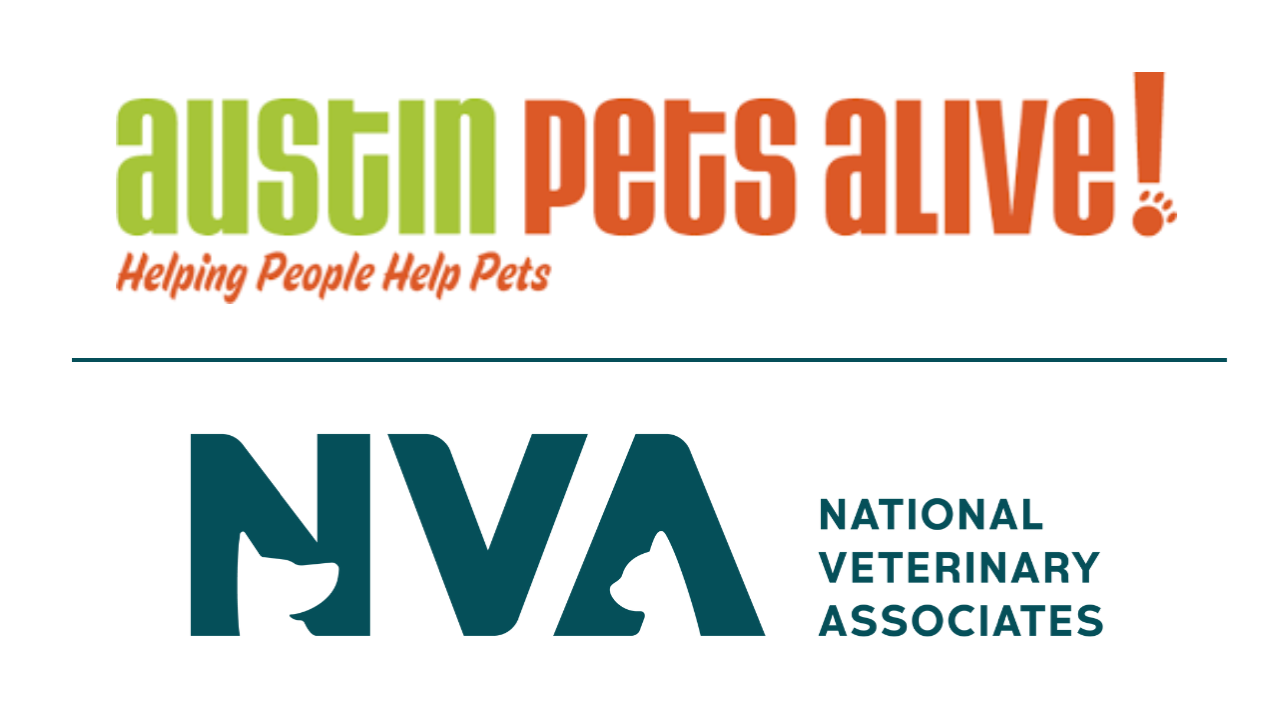 Cover Image for NVA Community Spotlight: Supporting Austin Pets Alive After Texas Floods