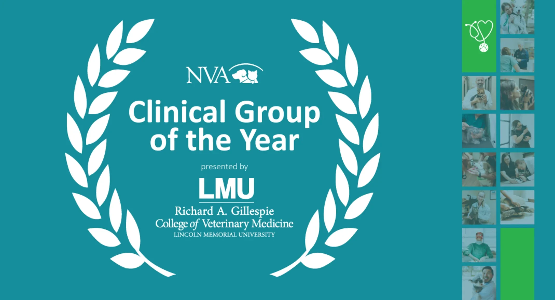 Cover Image for National Veterinary Associates Named Clinical Group of the Year
