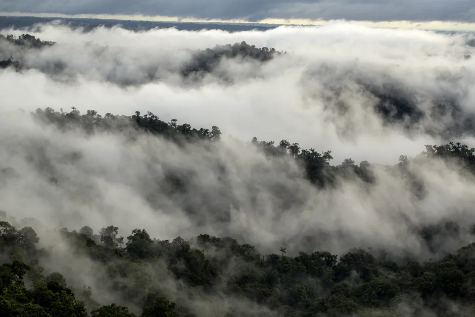 mashpi reserve cloud and rain forest view from canopy