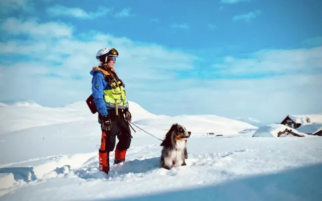 Rescuing dog of Svalbard in the snow