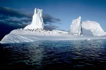 Penguins on a glacier in Antarctica