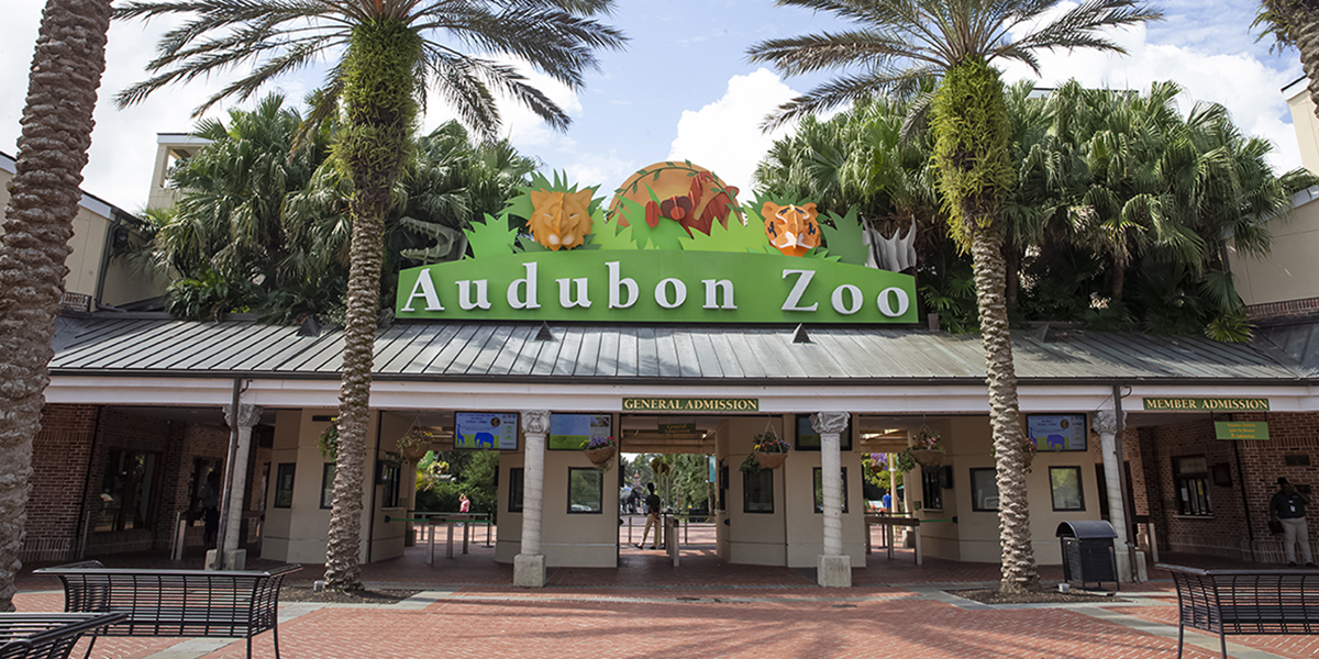 Audubon Nature Institute Promotes Wildlife Conservation With Premium ...