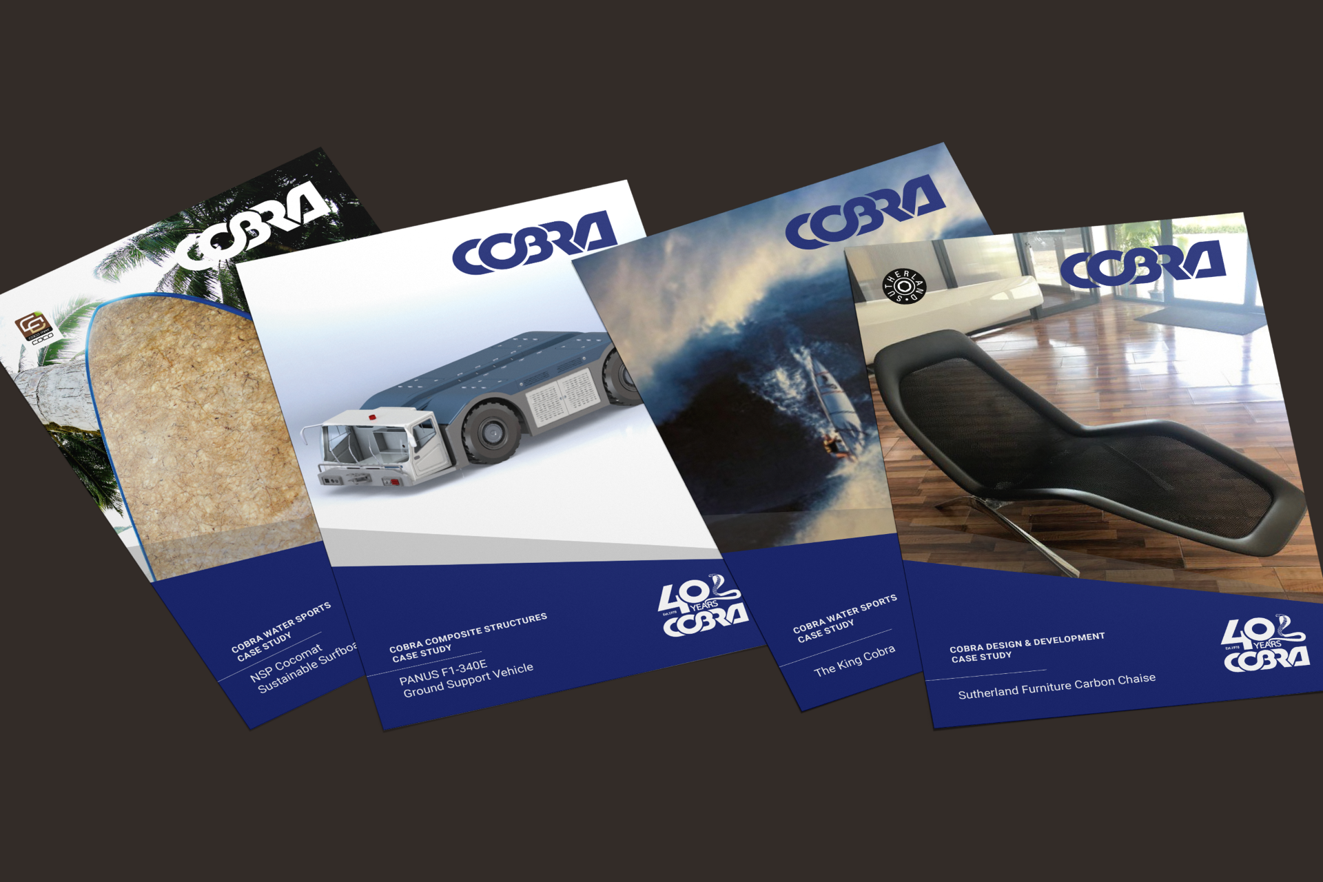 Cobra Case Study Flyers
