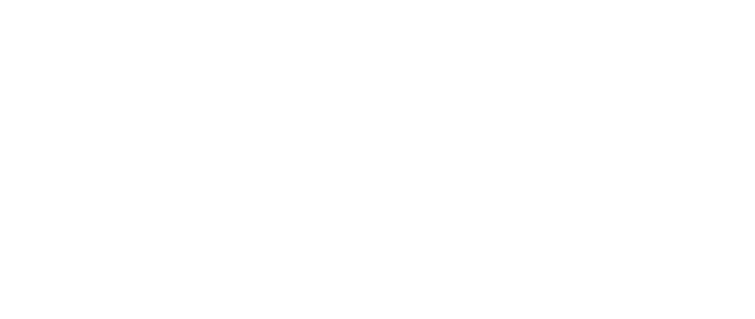 Auctus Logo