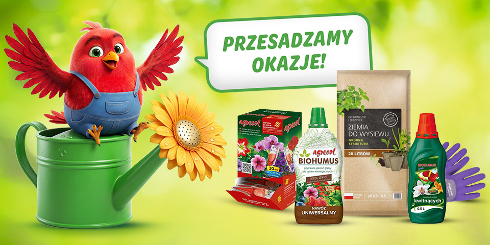 Grafika reklamowa: uśmiechnięty czerwony ptaszek w ogrodniczkach siedzi na konewce obok produktów ogrodniczych: ziemi, nawozów Biohumus i Agrecol. W dymku widnieje napis: „PRZESADZAMY OKAZJE!”. Całość na jasnym, zielonym tle.
