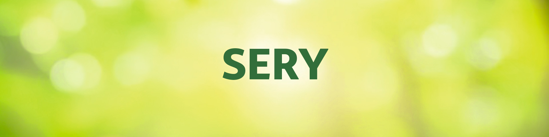 Jasnozielona grafika z napisem "sery"