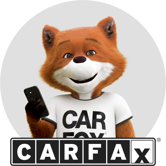 Car fox on cell phone