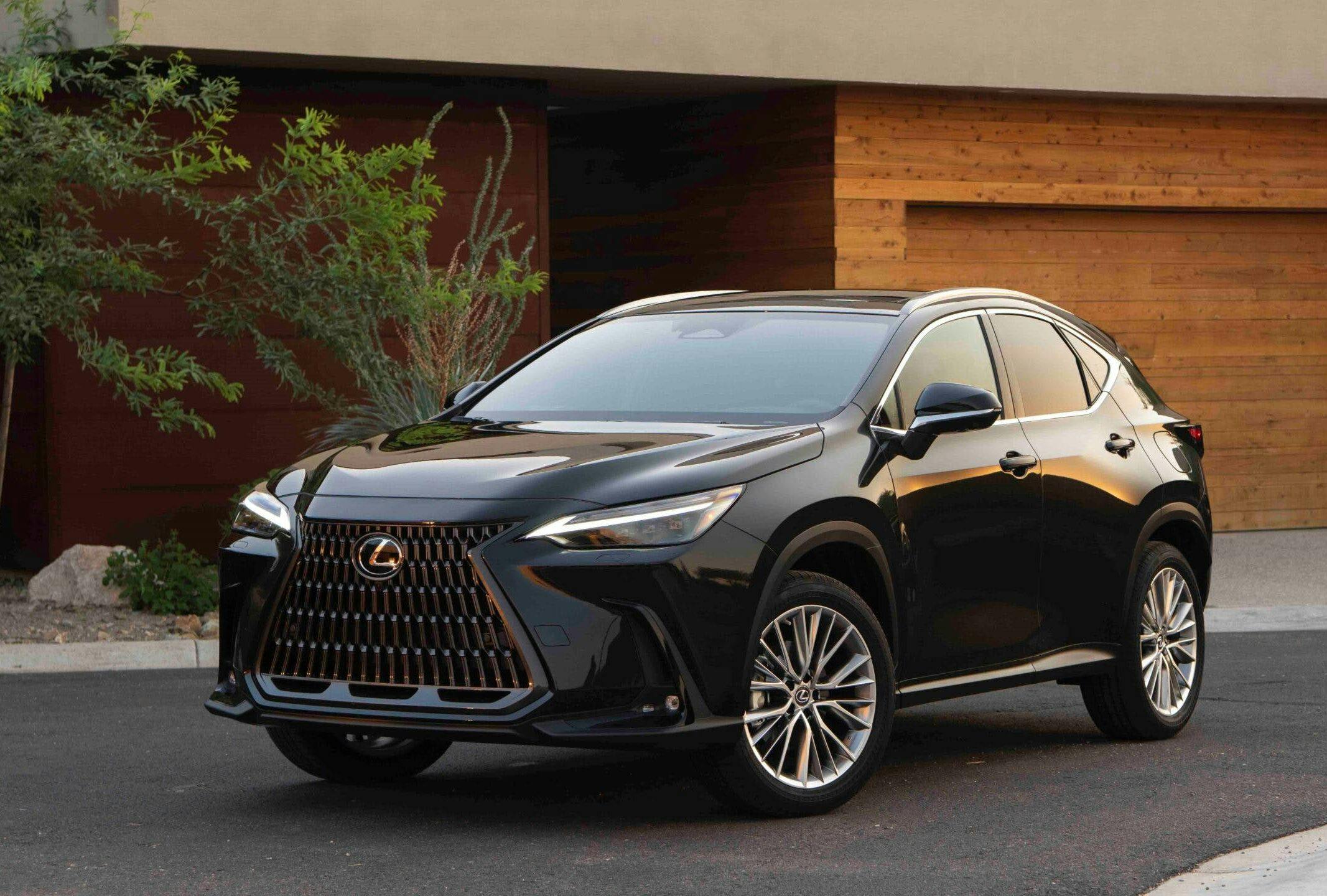2026 Lexus NX