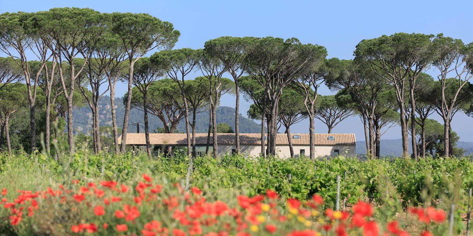 Domaine des Féraud