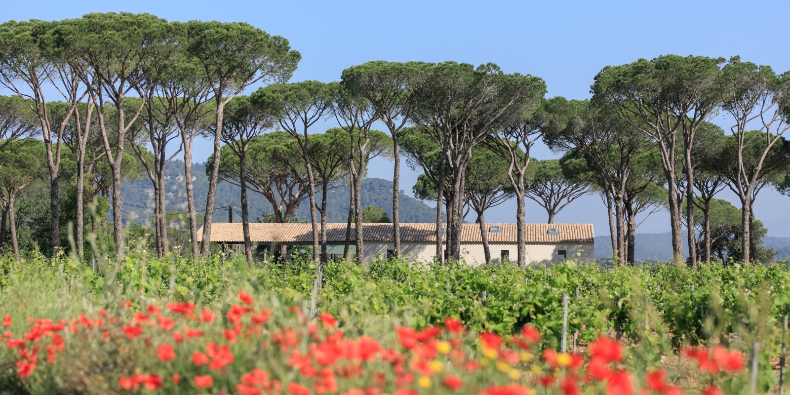 Domaine des Féraud