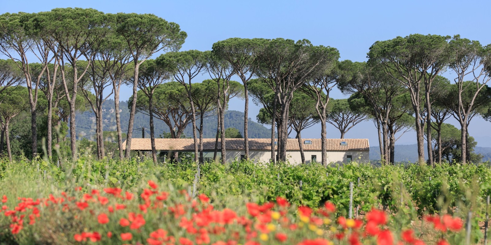 Domaine des Féraud