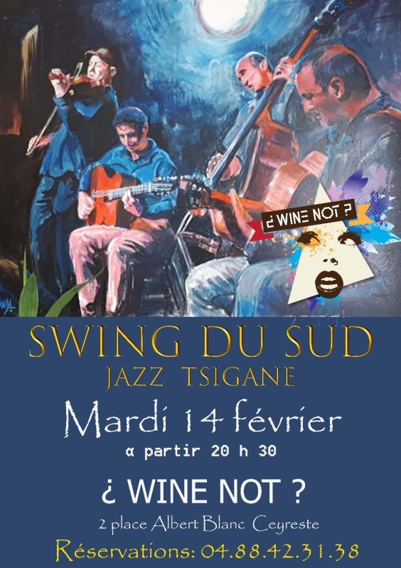 Swing du Sud 140223 