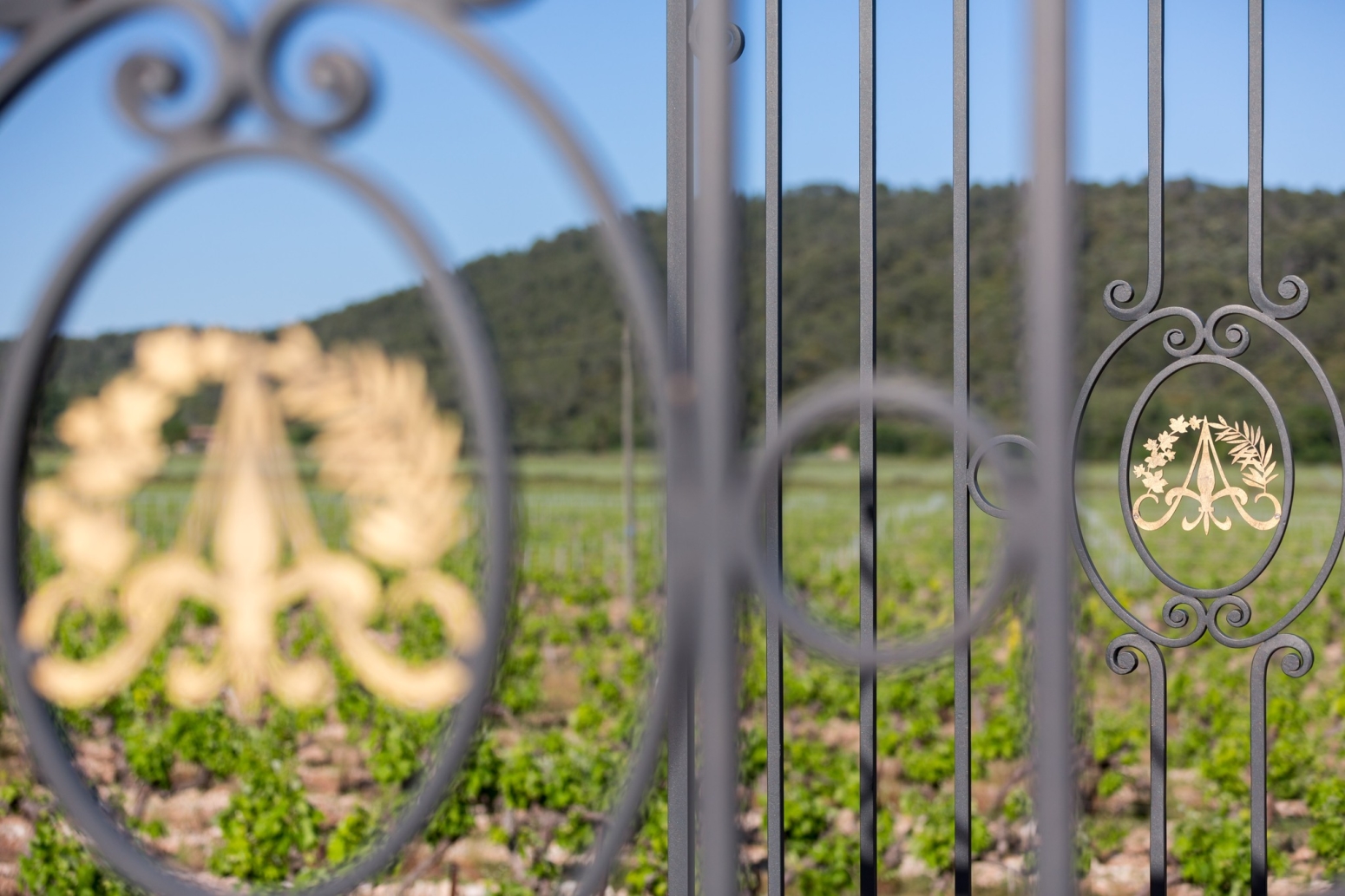 Château de l-Aumérade 0723