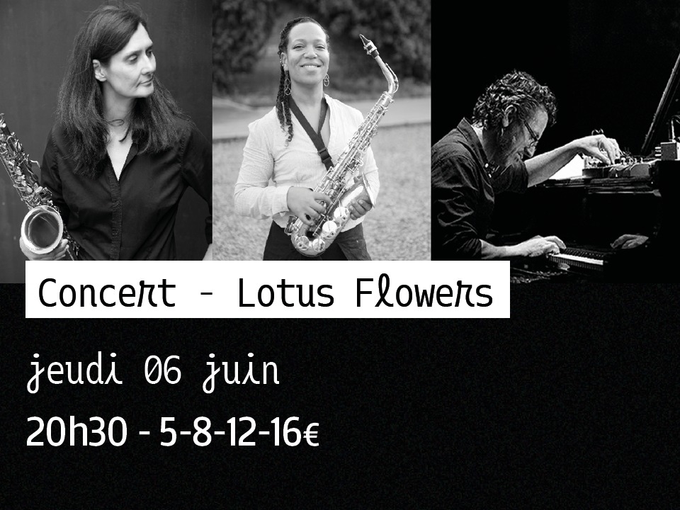 Lotus flowers 060624