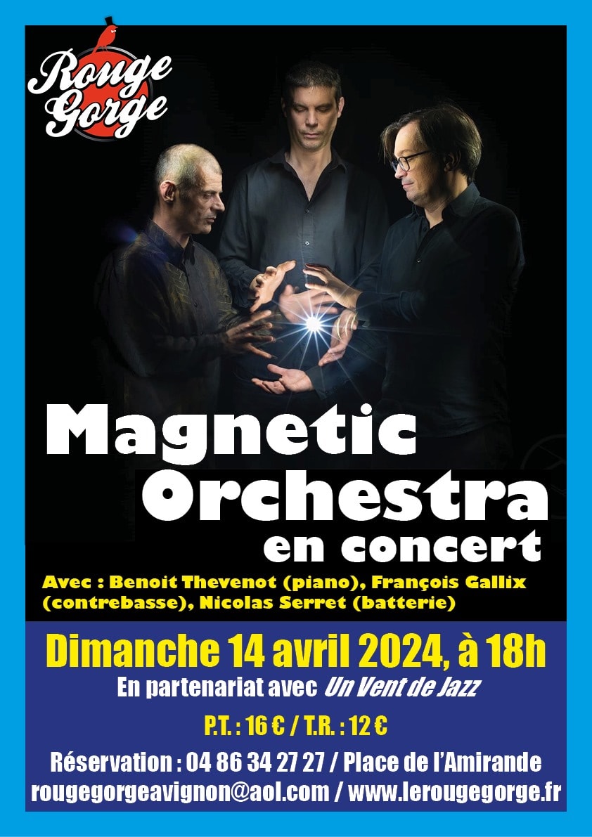 magnetic orchestra 140424