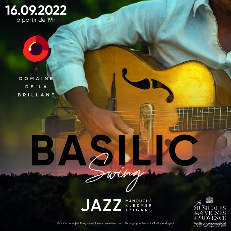Basilic Swing brillane 0922