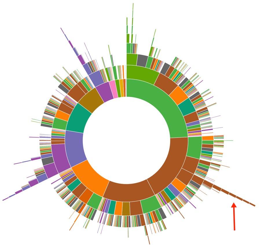 The Rise of the Chief Data Officer (AKA the Data Czar)