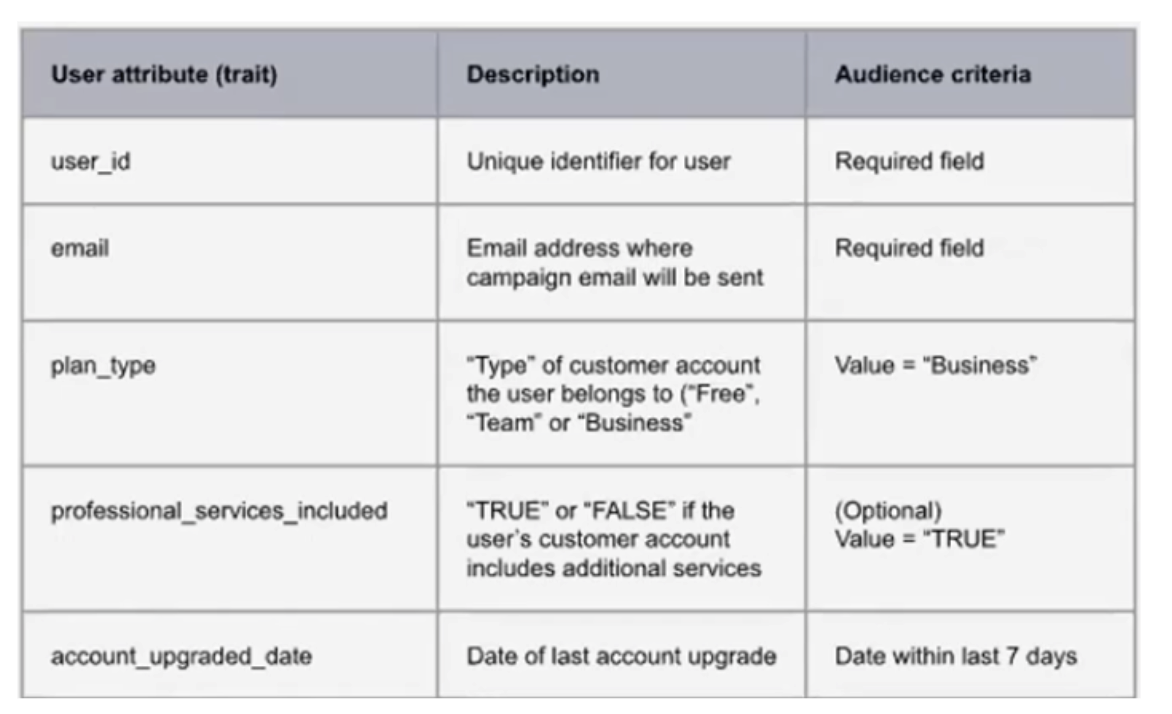 Grid showing CDP user attribute traits, descriptions, and audience criteria