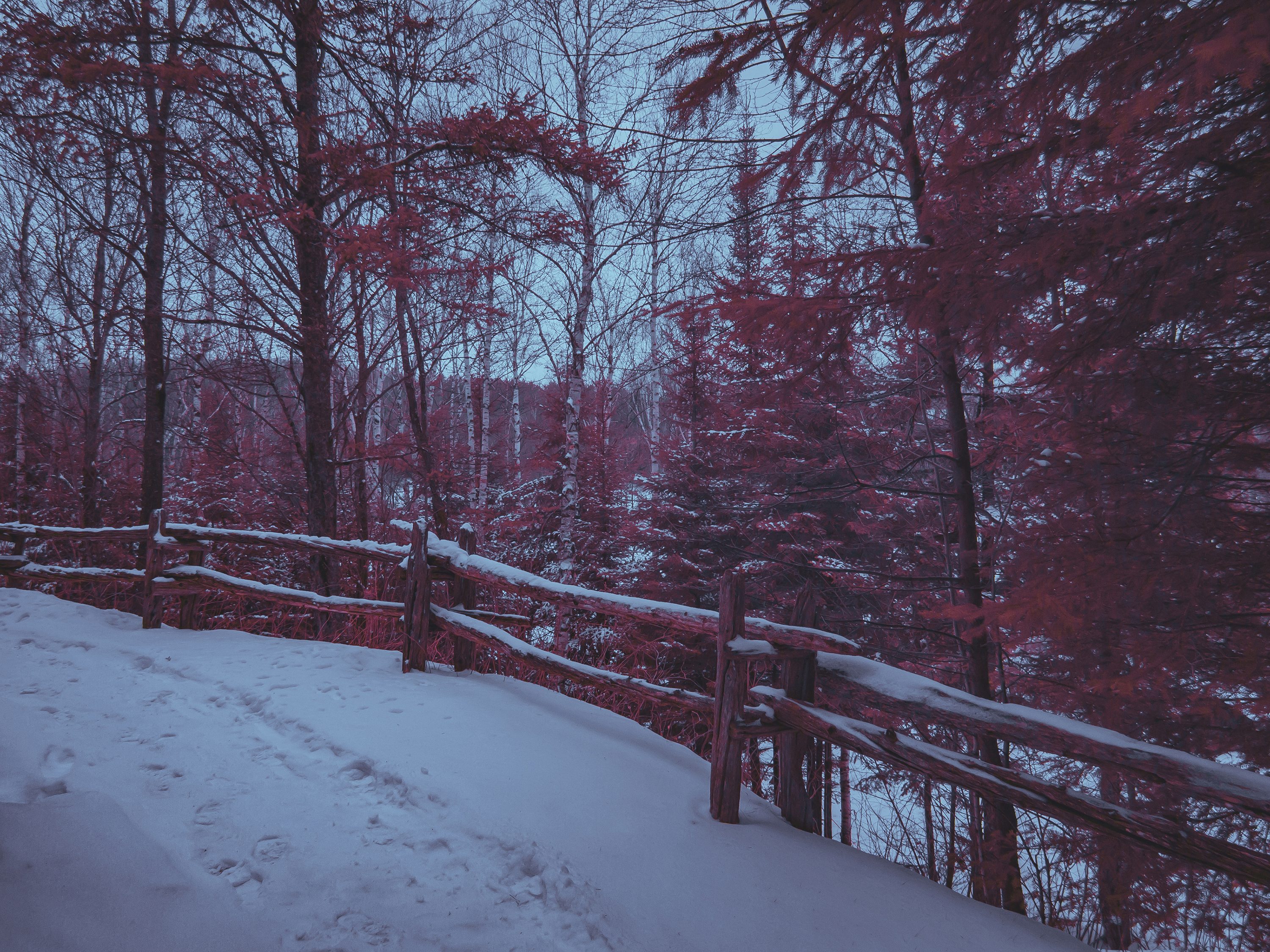jp-valery-jpvalery-photographer-crimson-peaks-project-infrared-full-spectrum-1001
