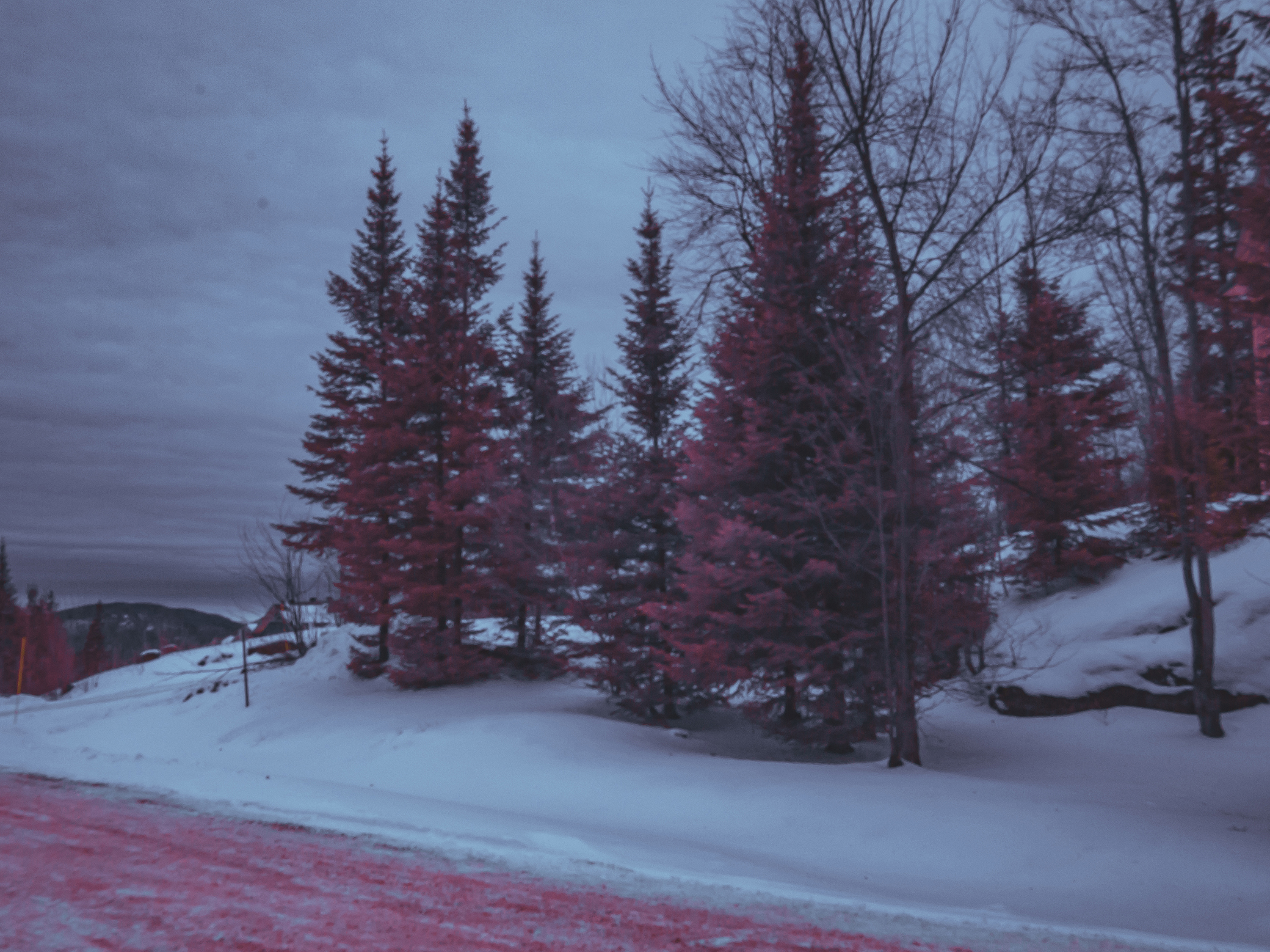 jp-valery-jpvalery-photographer-crimson-peaks-project-infrared-full-spectrum-1003