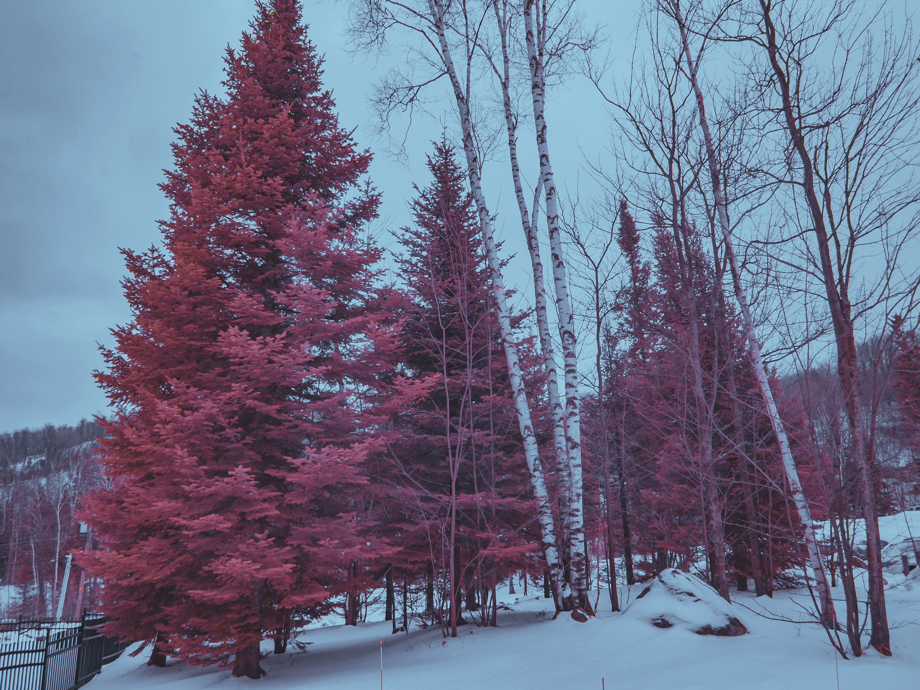 jp-valery-jpvalery-photographer-crimson-peaks-project-infrared-full-spectrum-1002