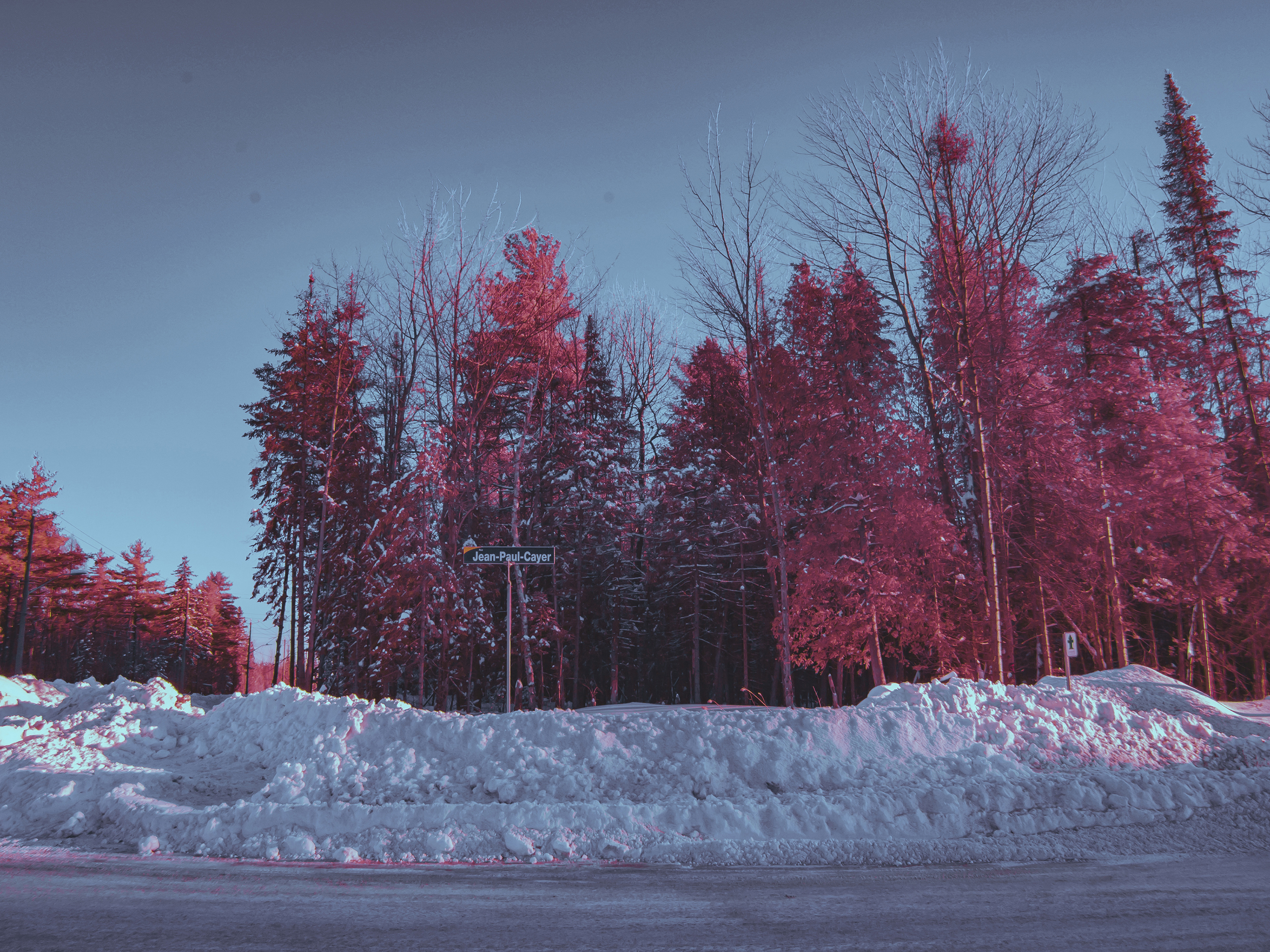 jp-valery-jpvalery-photographer-crimson-peaks-project-infrared-full-spectrum-1006