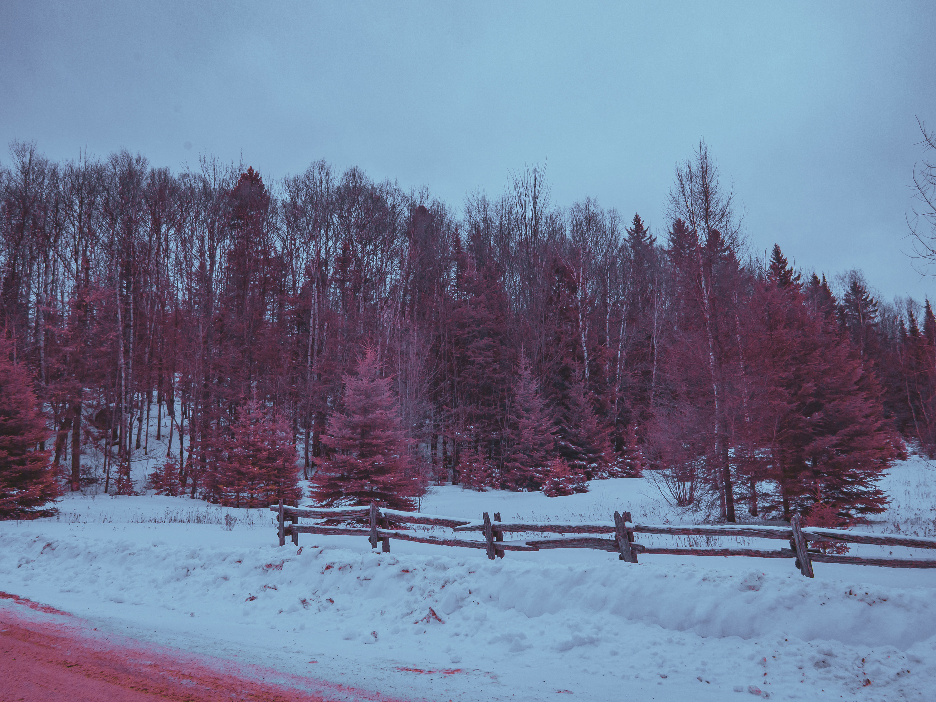 jp-valery-jpvalery-photographer-crimson-peaks-project-infrared-full-spectrum-1005