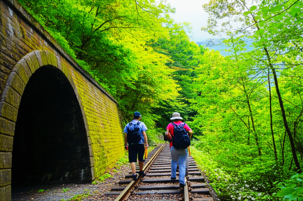 【神コース】廃線跡が絶景ハイキングに！群馬・碓氷峠『アプトの道』で歴史と絶品釜めしを巡る旅