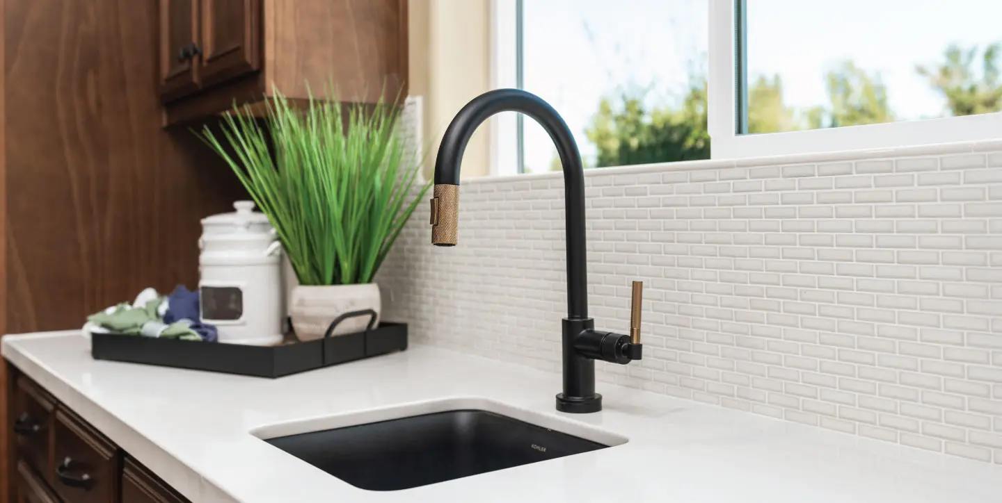 1440x724 Chateau-w-Bonus Veggie-sink